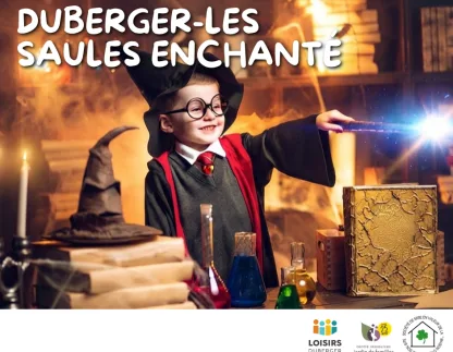 Copie de Duberger les saules hante 1