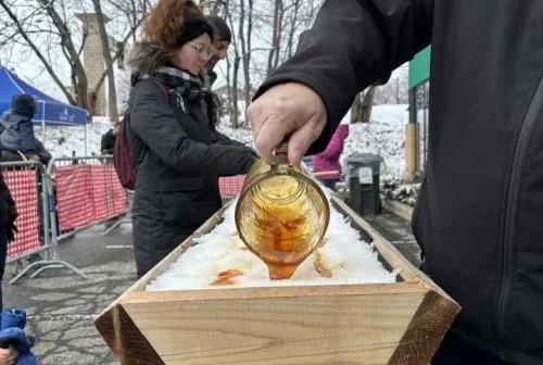 492536084 1248779950388547 2600623987875275942 n