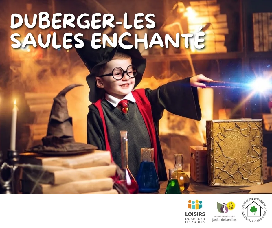 Copie de Duberger les saules hante 1